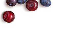 Image is not available