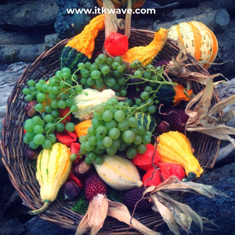 ARE WE DESIGNED TO BE VEGAN?